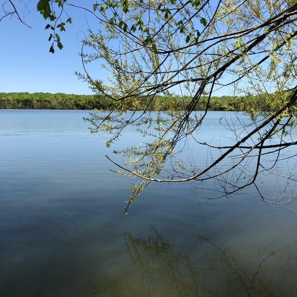 Meet your Posher, Erica - Picture 1 of 1